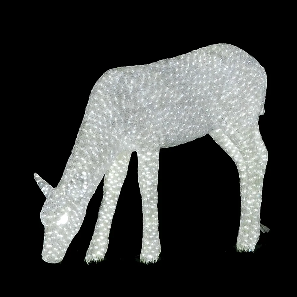 White Doe X127683_1000.jpg
