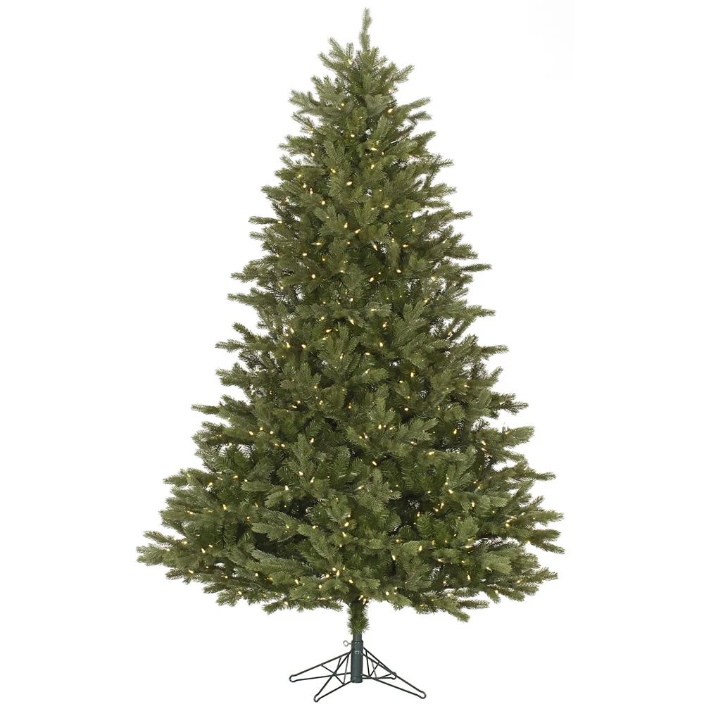 Balsam Fir