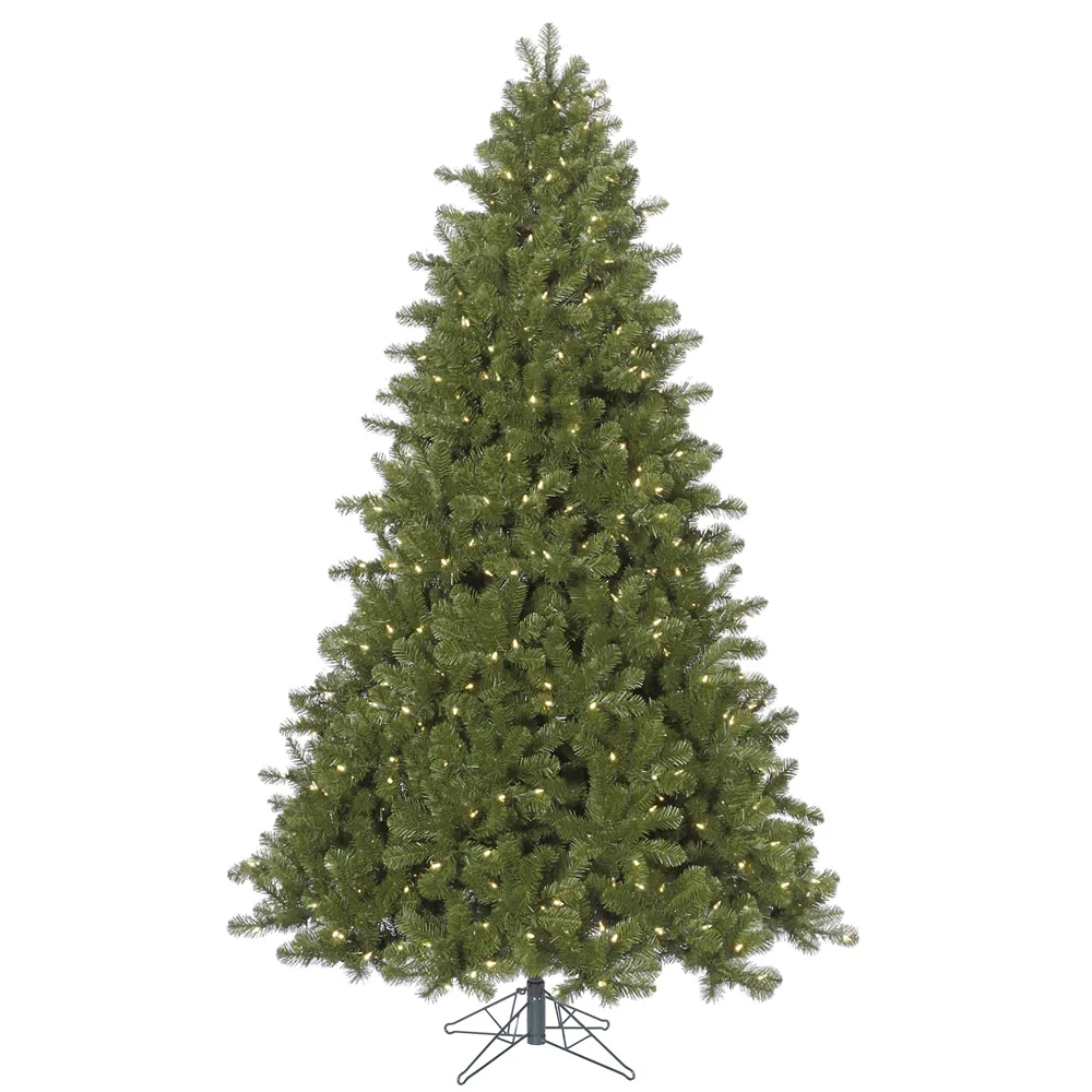 Ontario Spruce