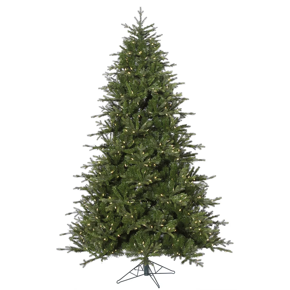 Madison Frasier Fir