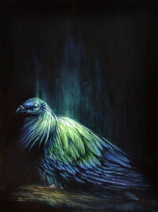 Night Phase Pigeon oil on panel 2017