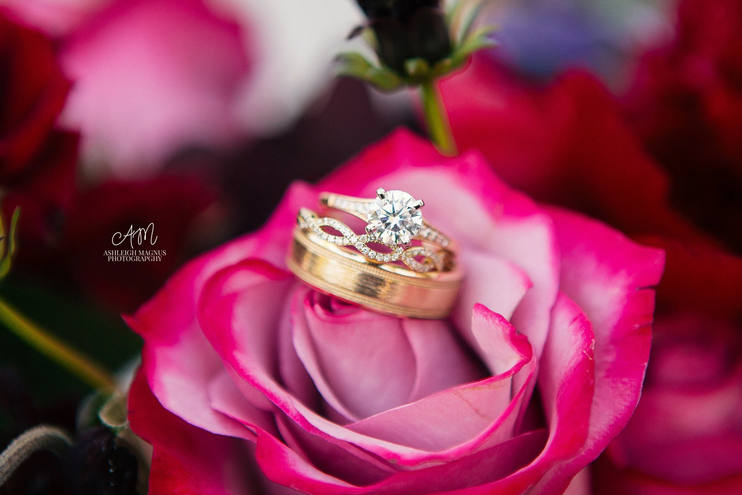 Truty_0191-2.jpg