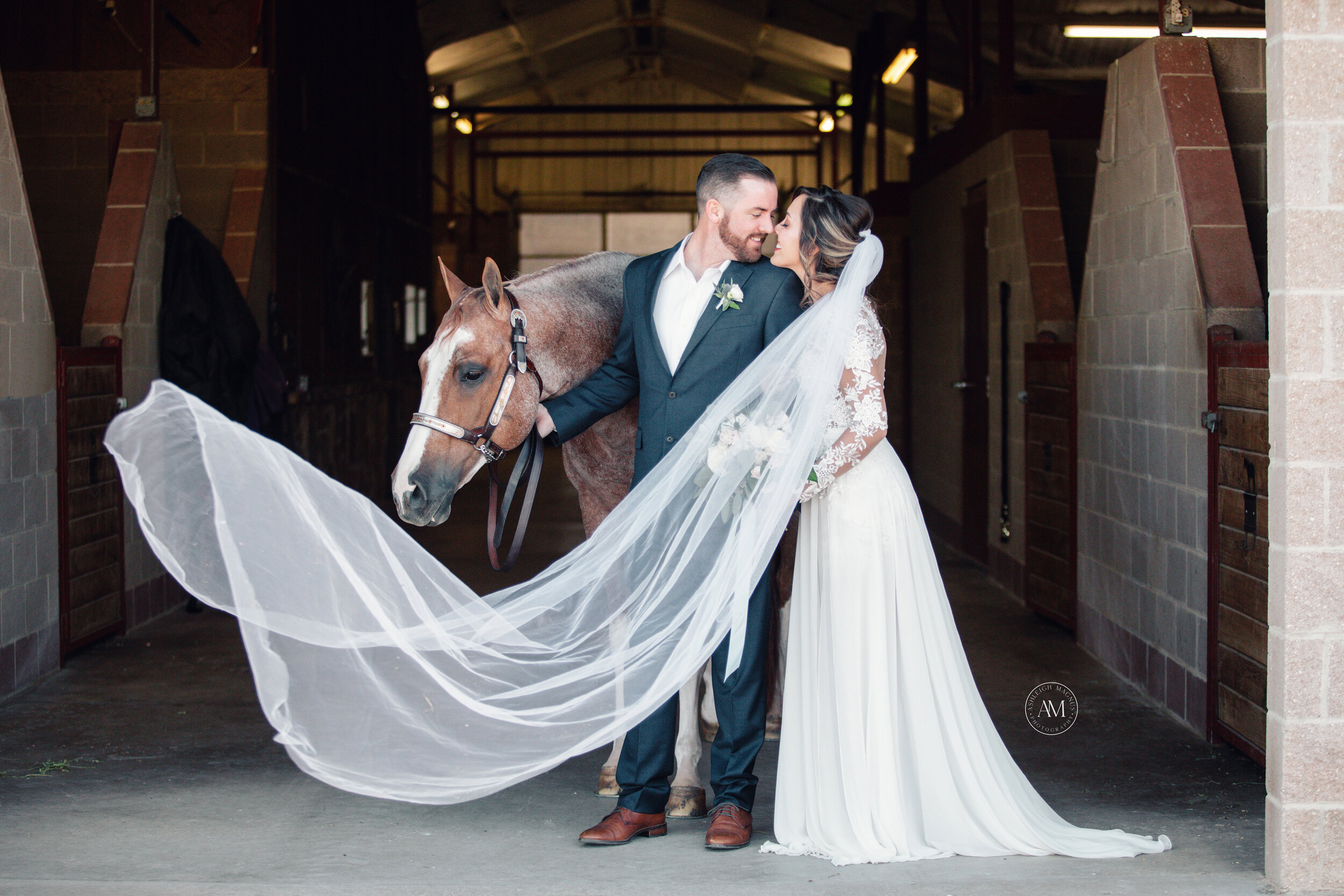 bride and groom with their horse