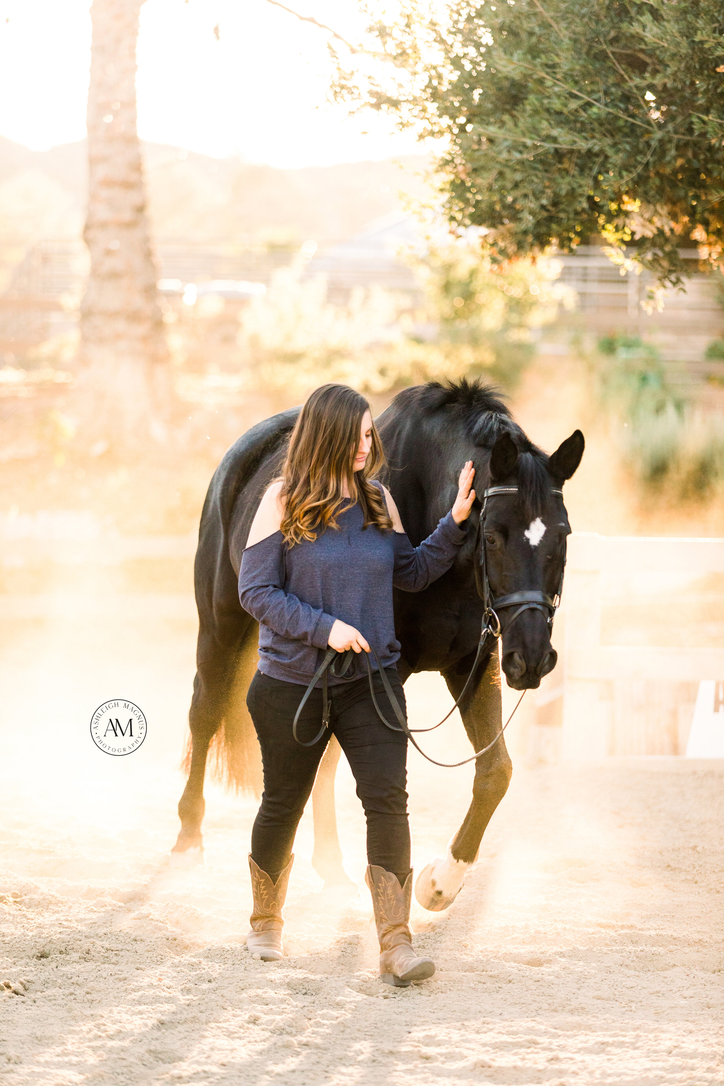 Horse & Rider Portfolio — Ashleigh Magnus