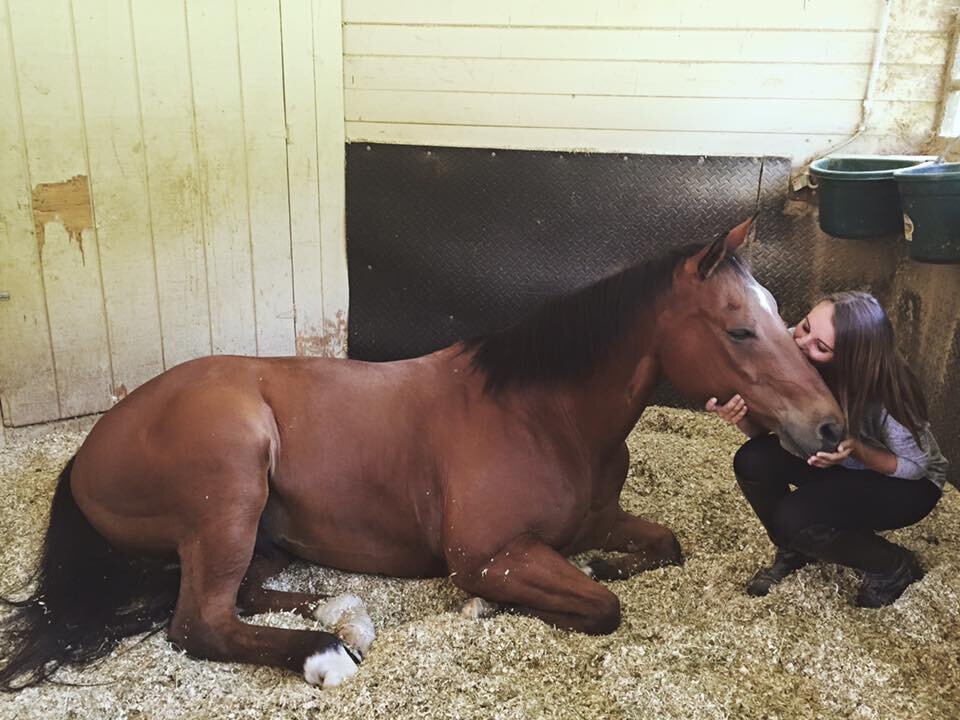 Ashleigh kissing a horse in a stall