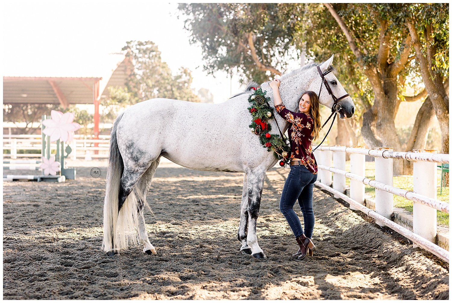 horse holiday photoshoot