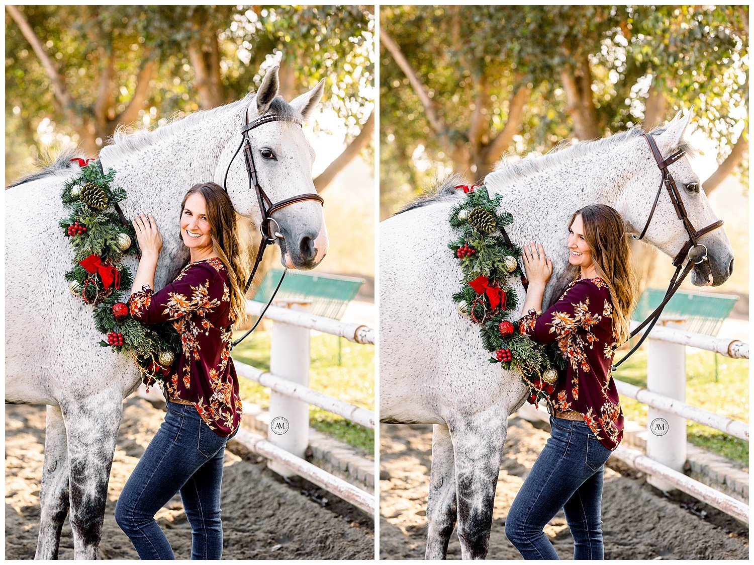 horse holiday photoshoot