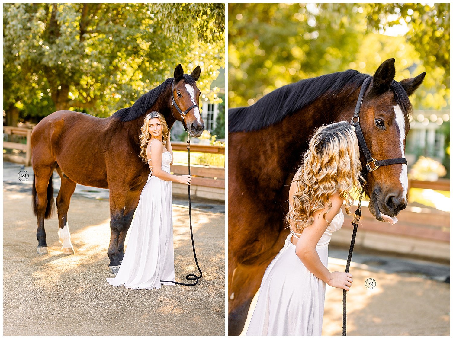 girl and horse photoshoot