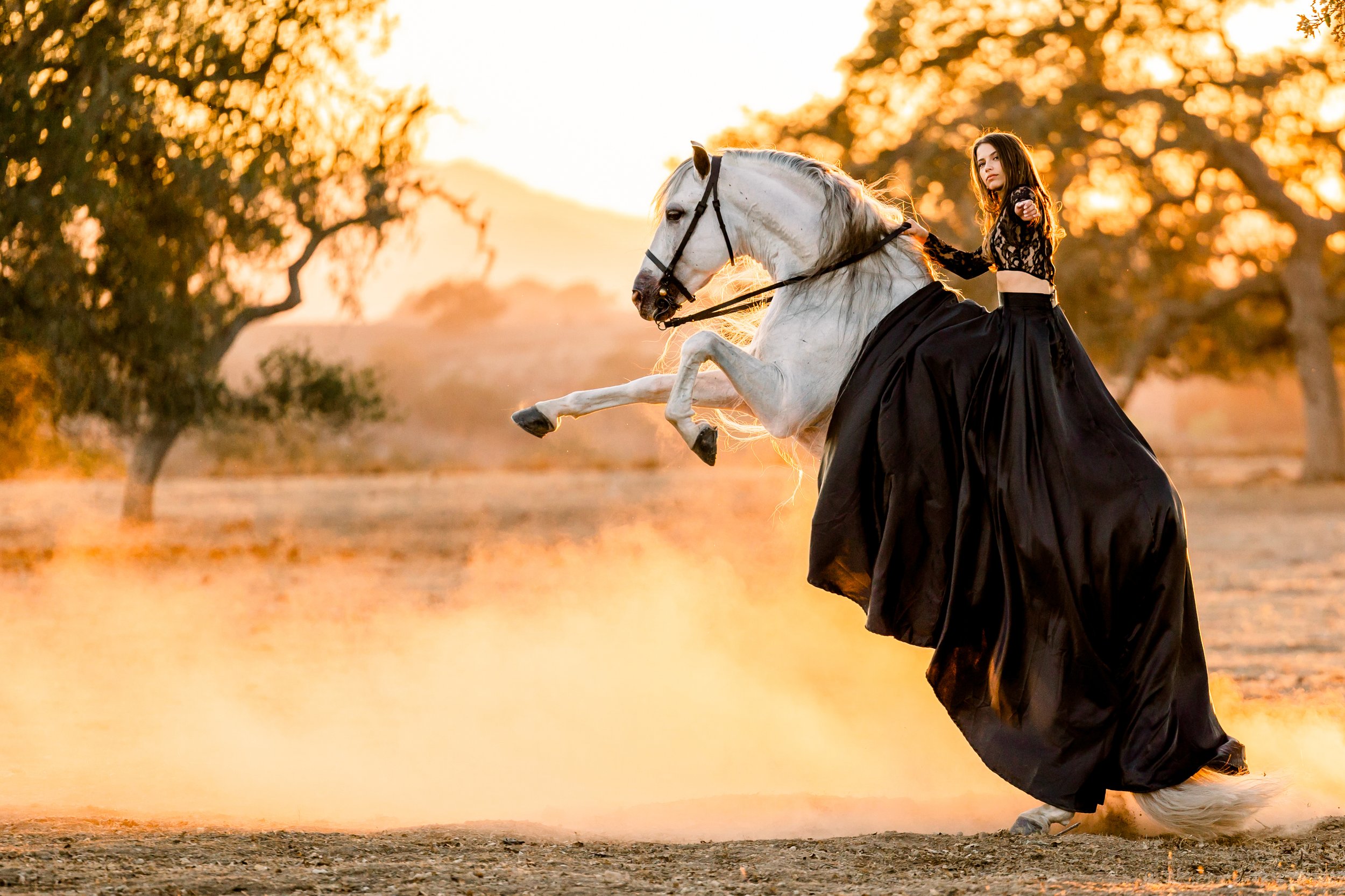 Photoshoot With Horses: Stunning Tips for Perfect Equine Shots
