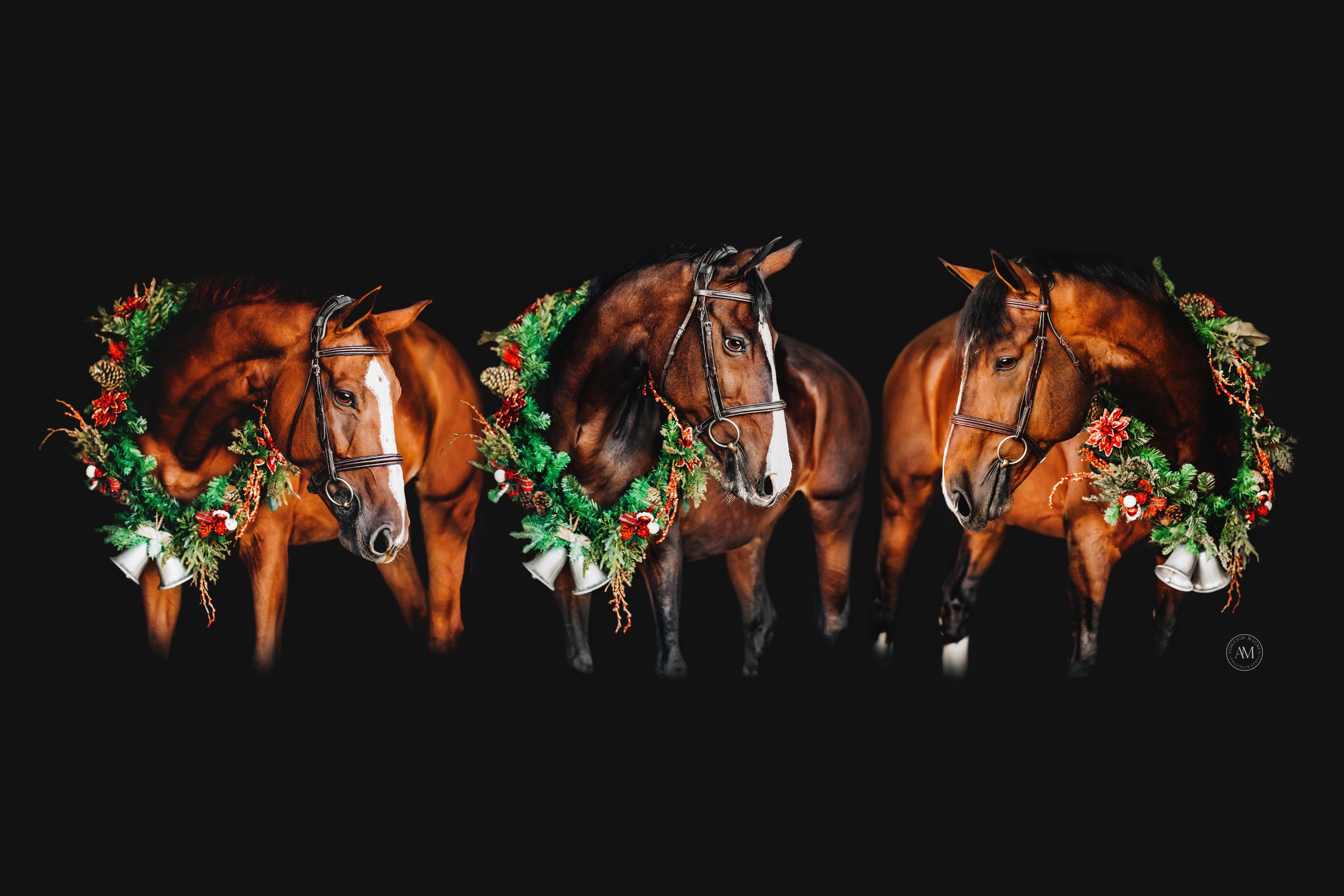 holiday horses