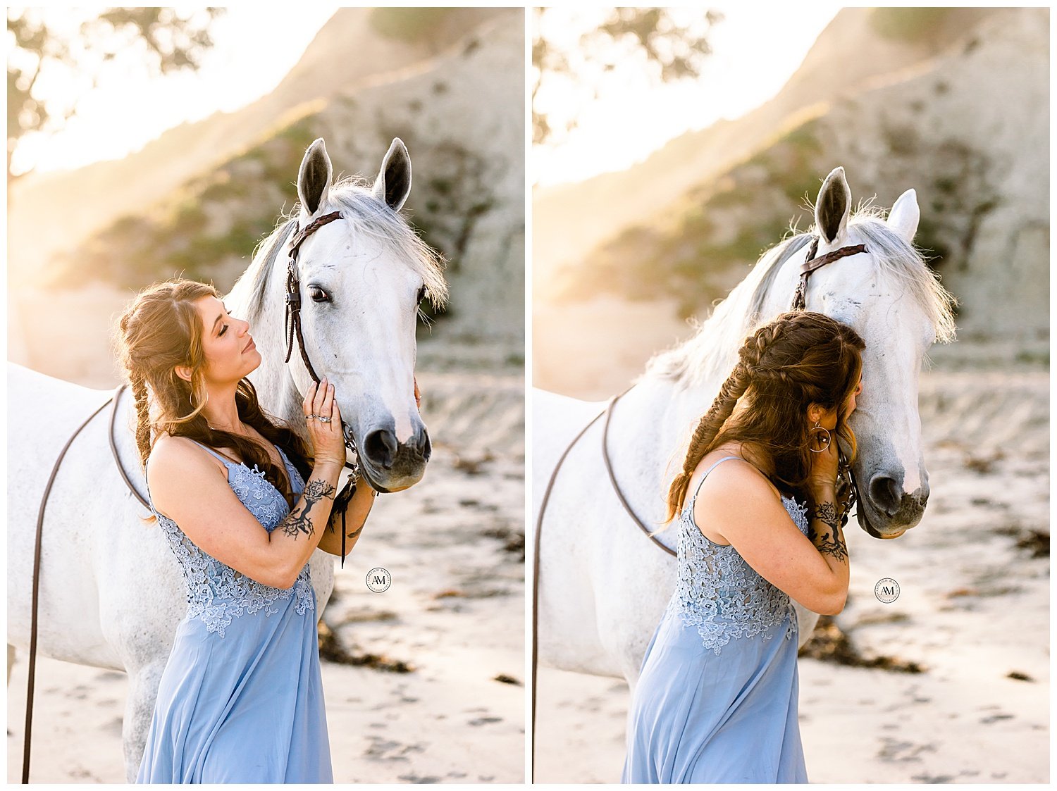 horse beach