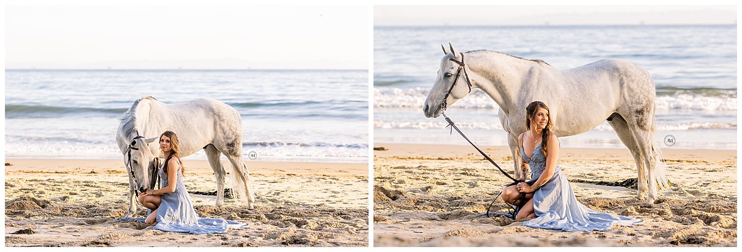 horse beach