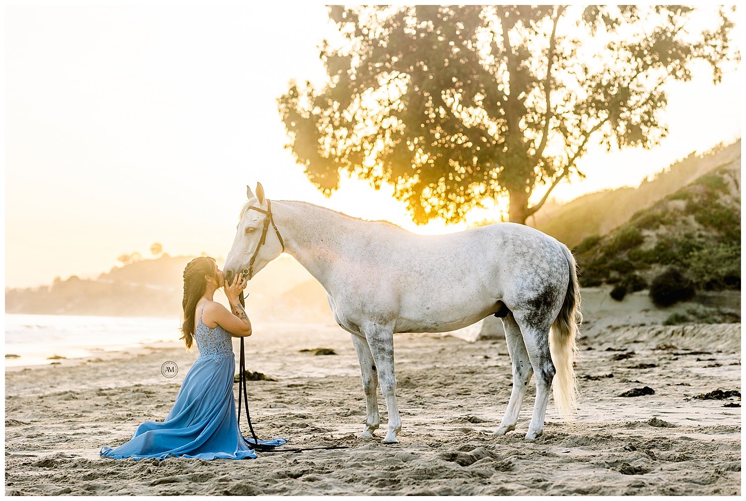 horse beach