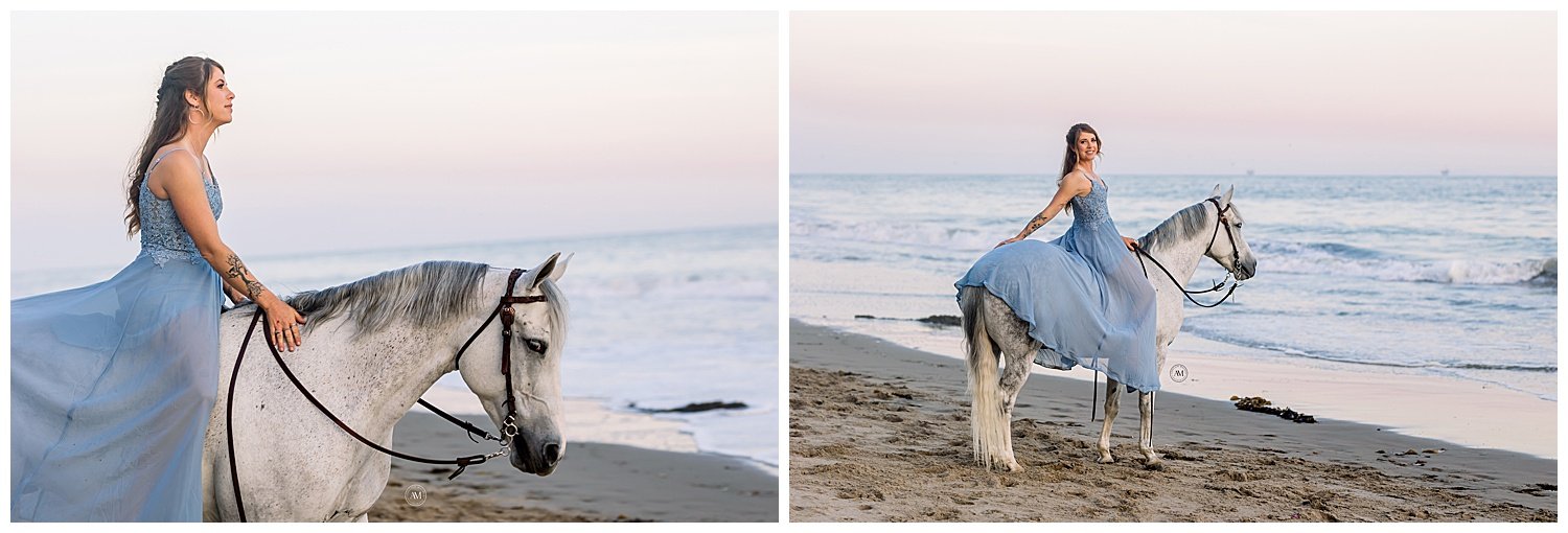 horse beach