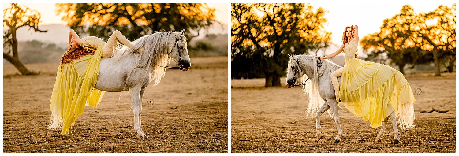 equine photoshoot