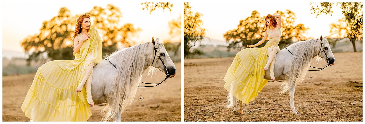 equine photoshoot