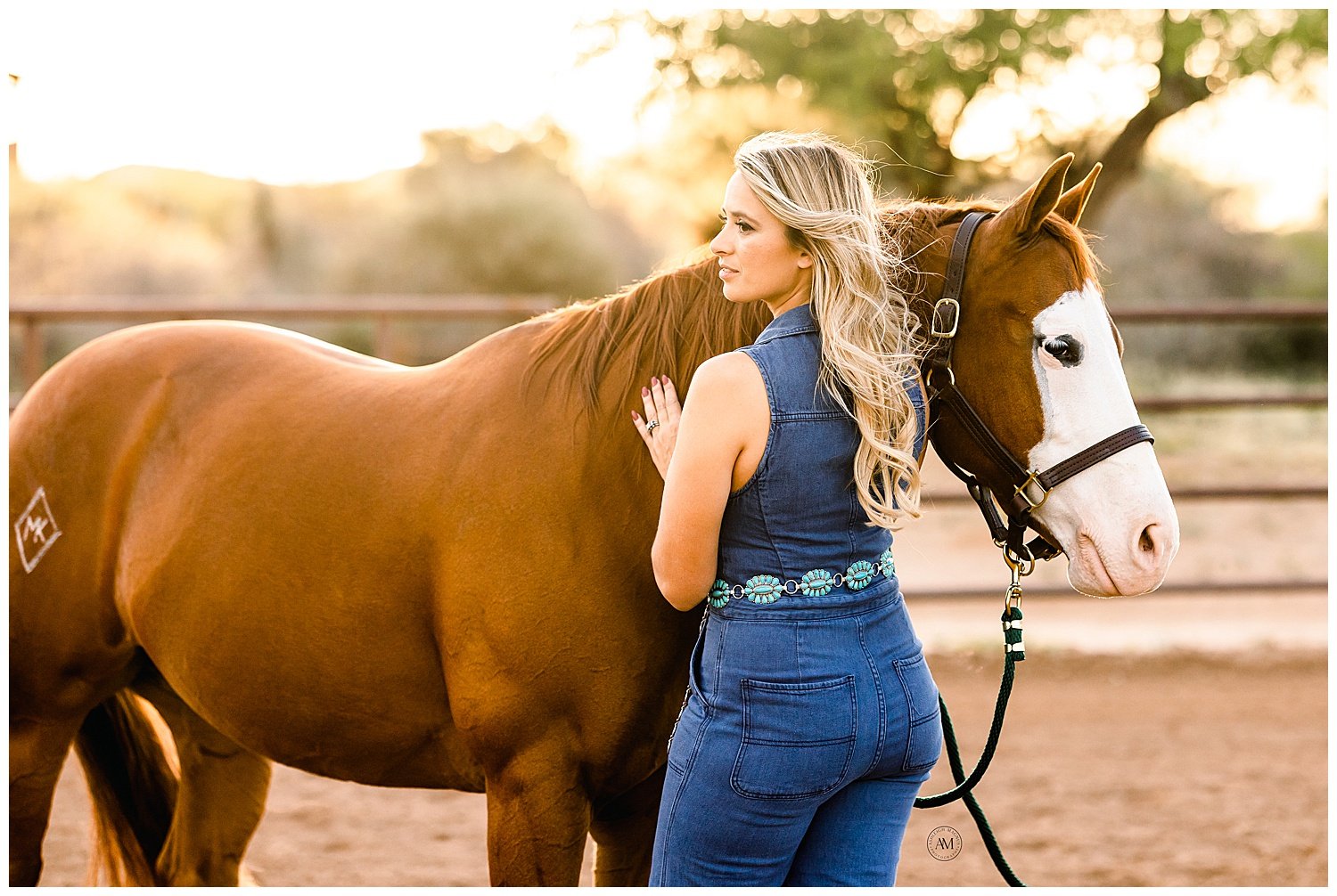 equine photoshoot