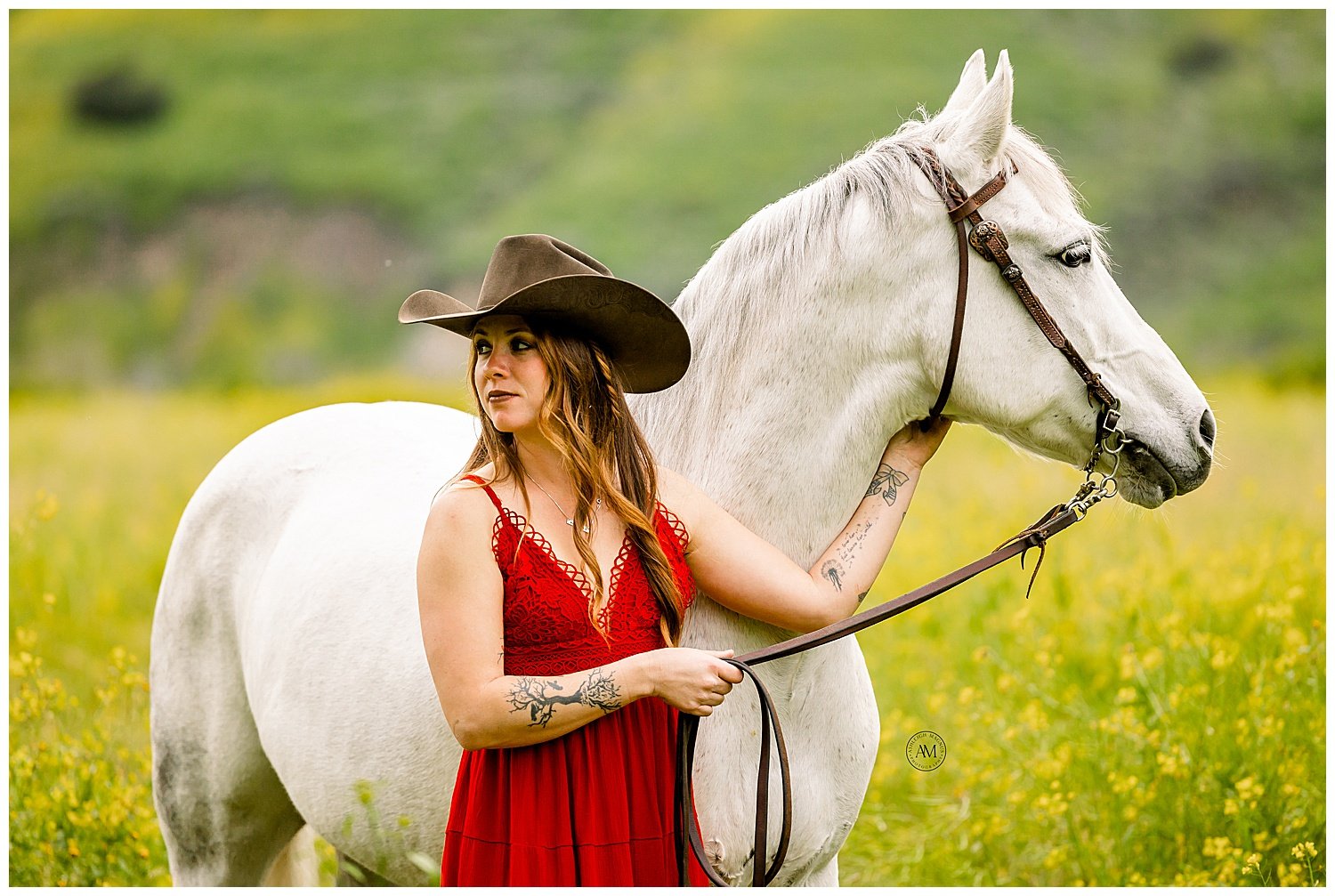 girl and horses