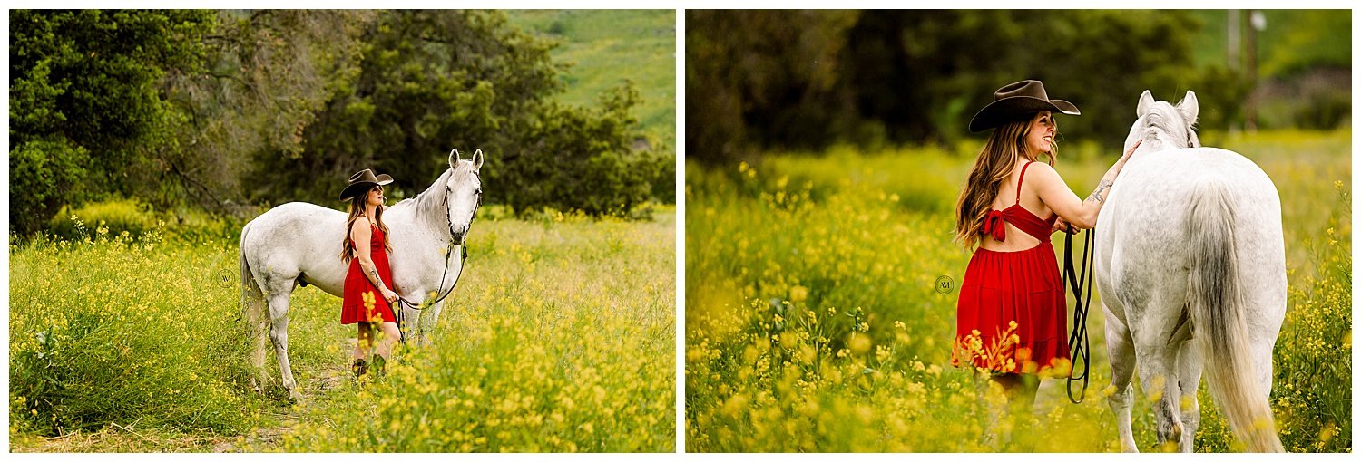 girl and horses