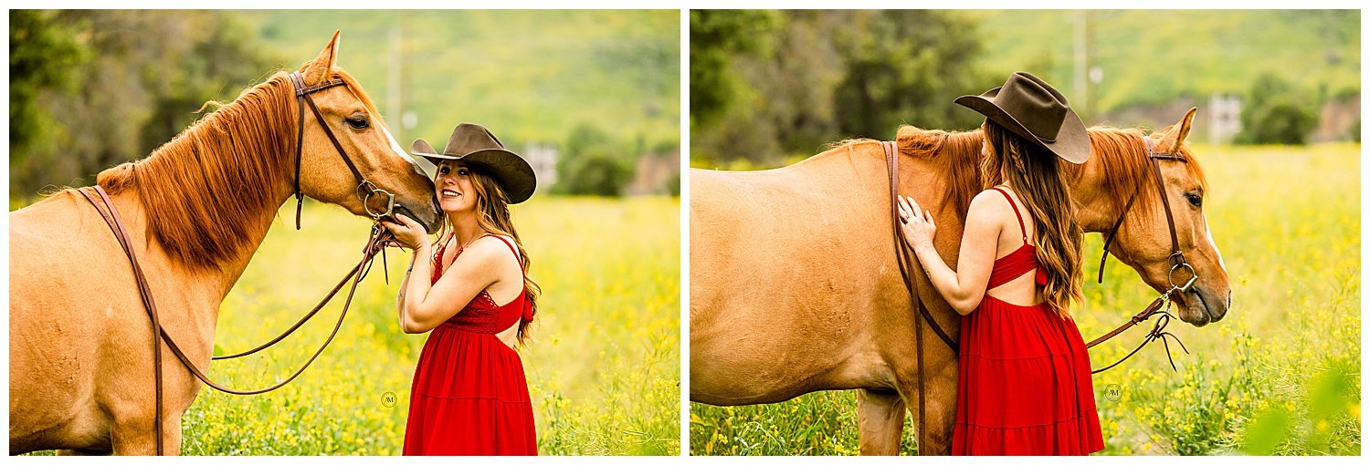 girl and horses