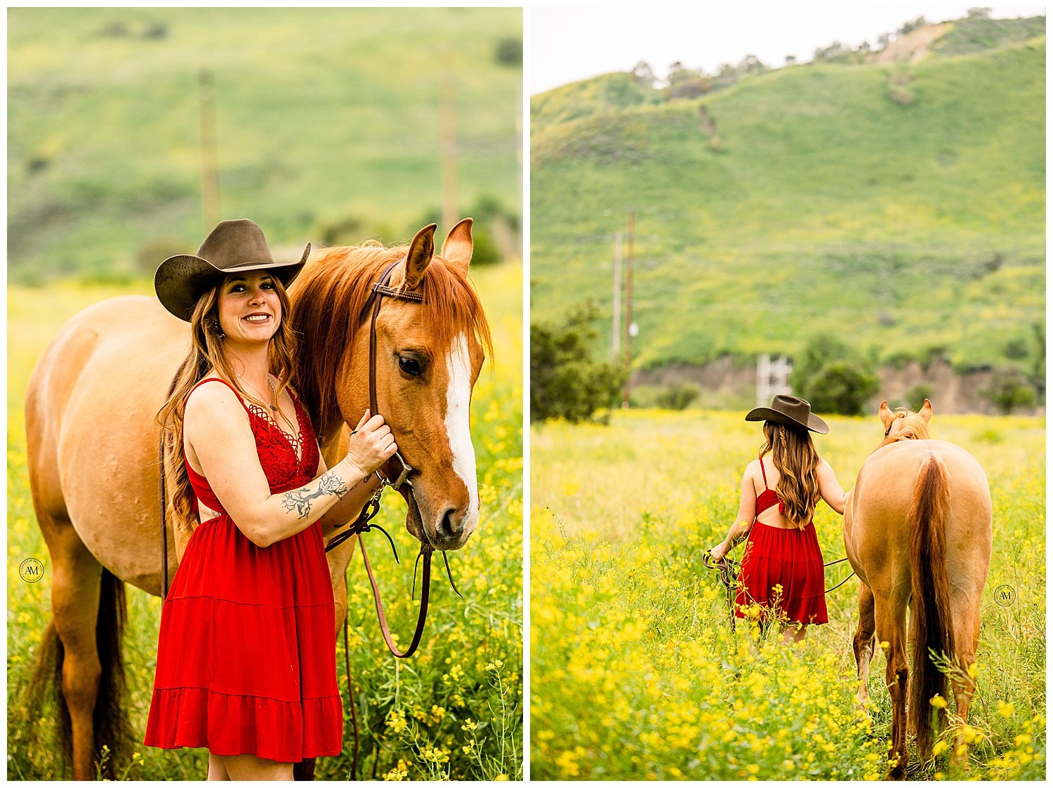 girl and horses