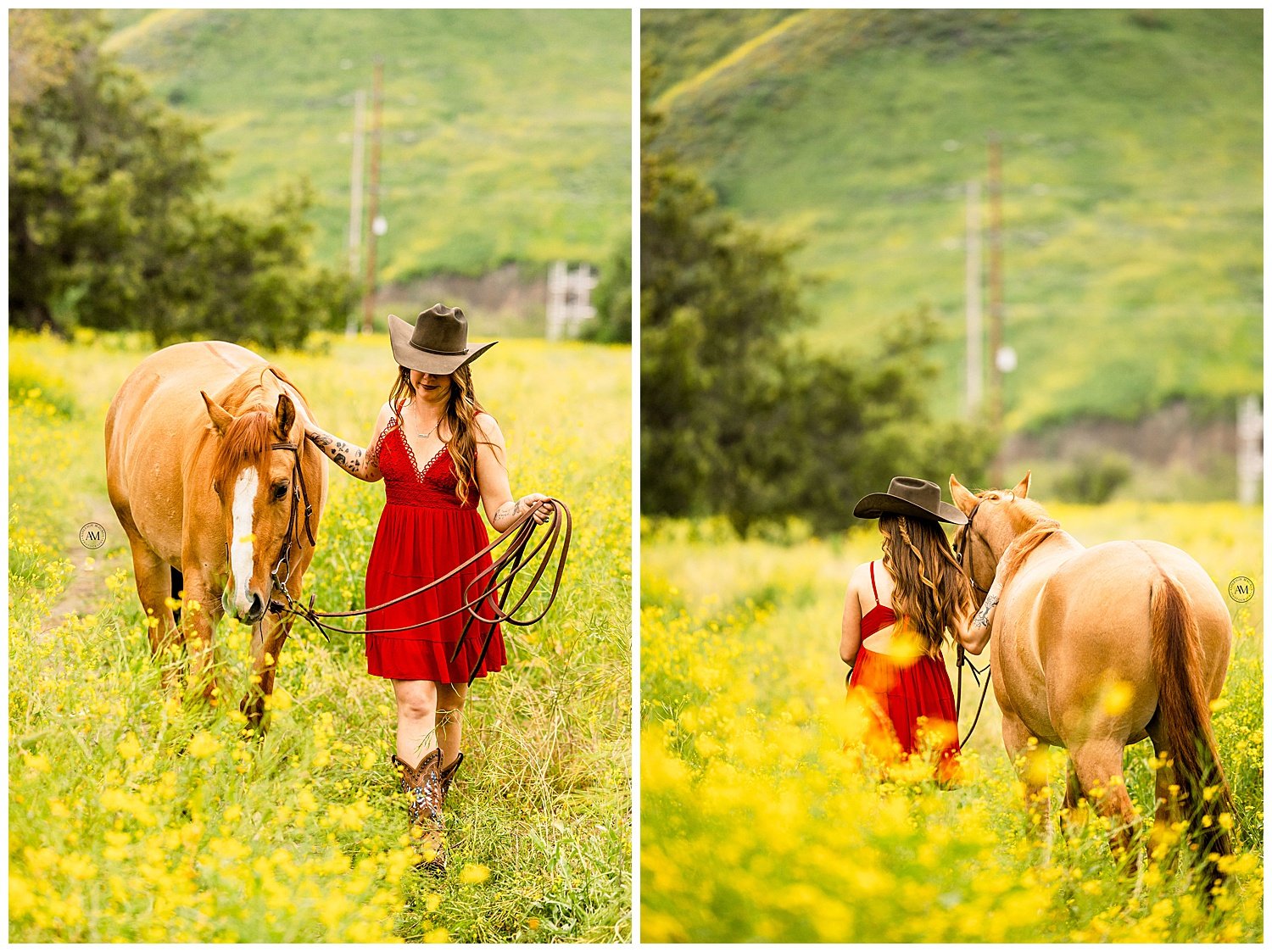 girl and horses