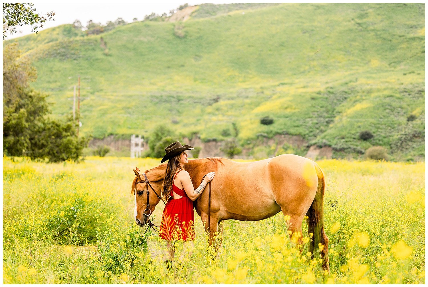 girl and horses