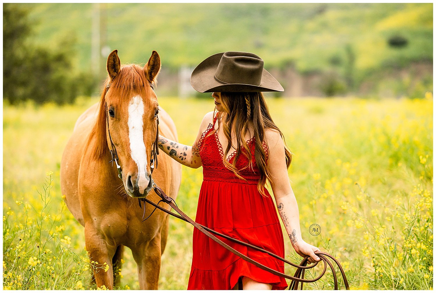 girl and horses