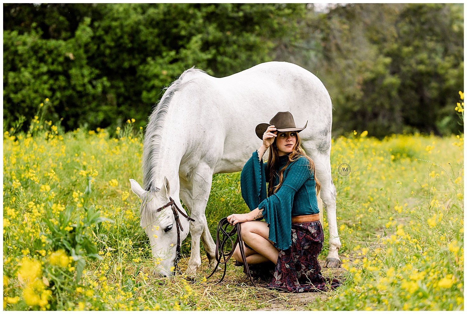 girl and horses