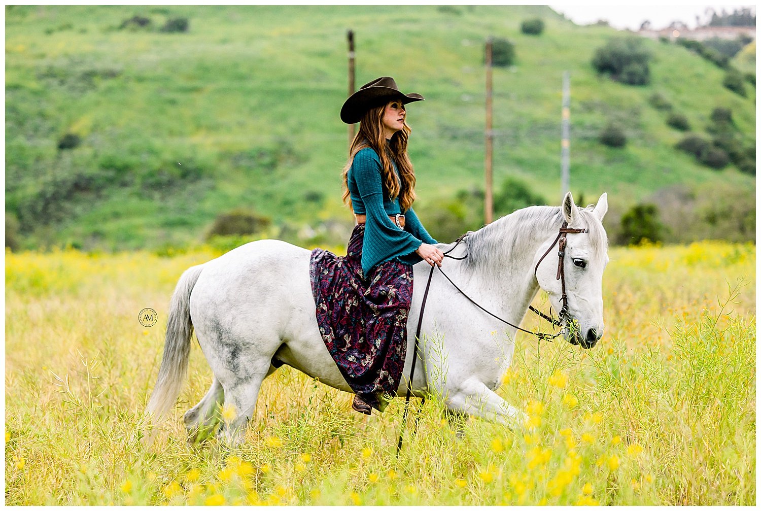 girl and horses