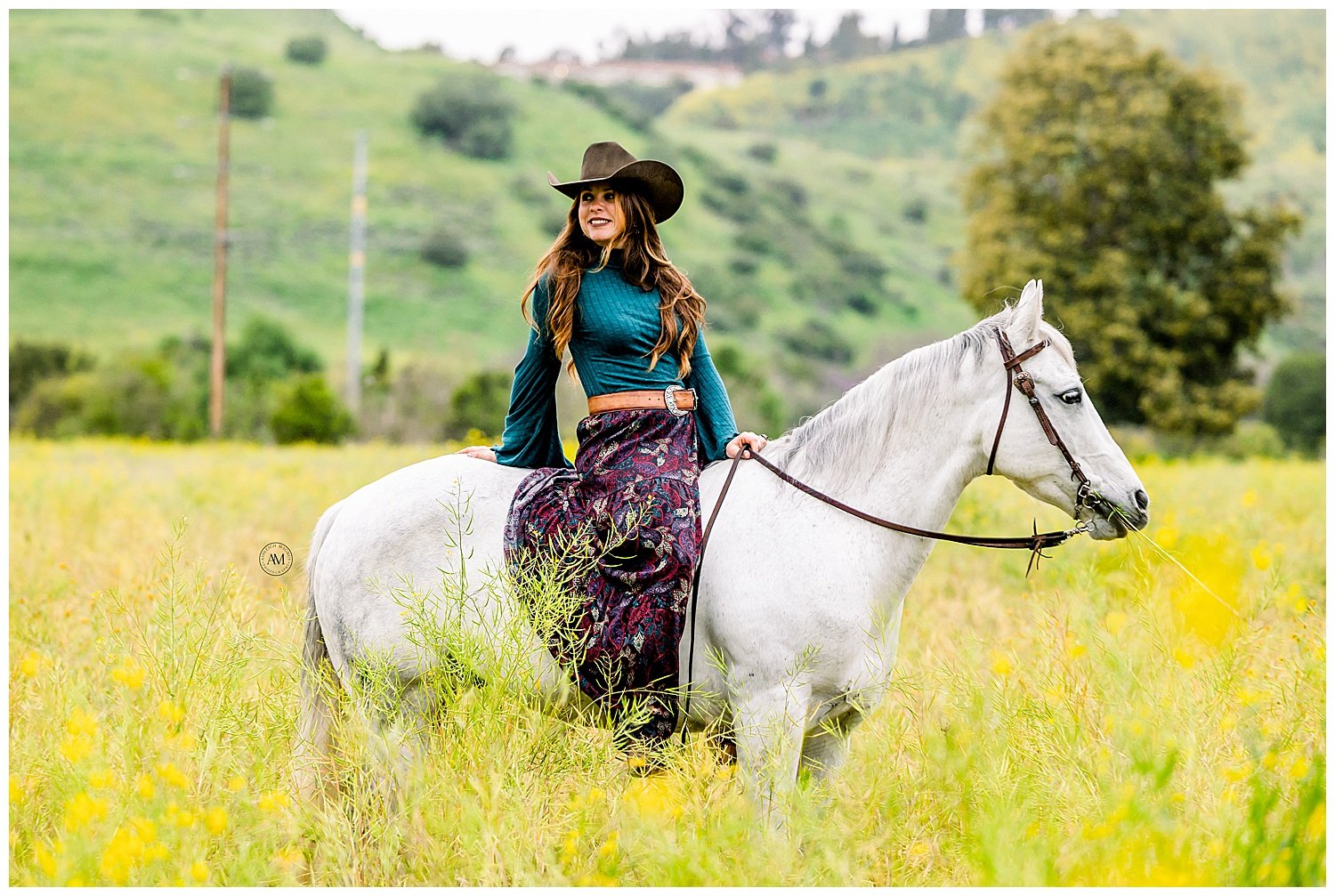 girl and horses