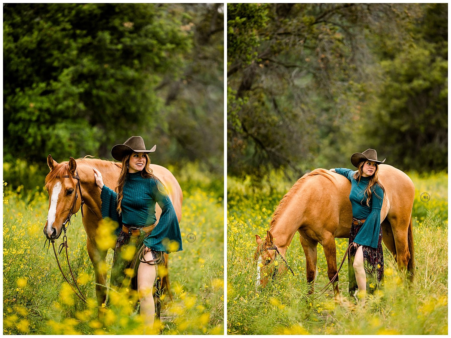 girl and horses