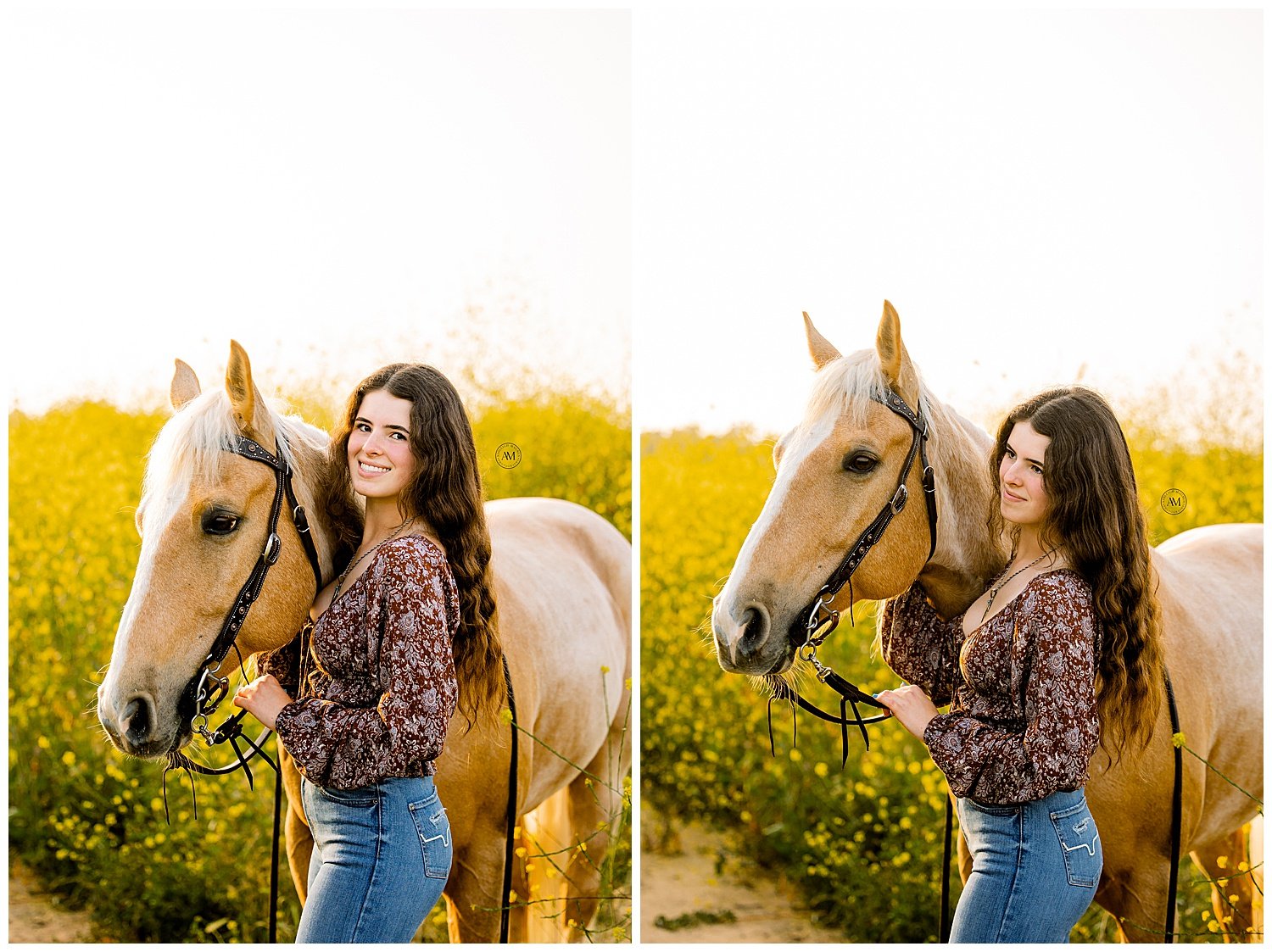 girl and horse