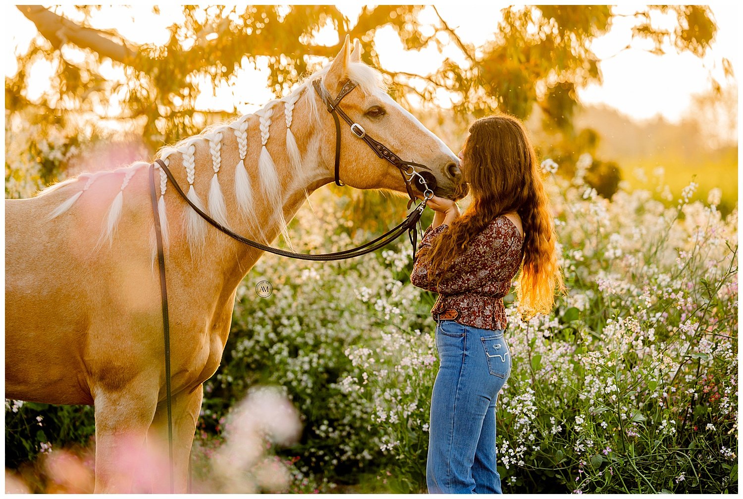 girl and horse