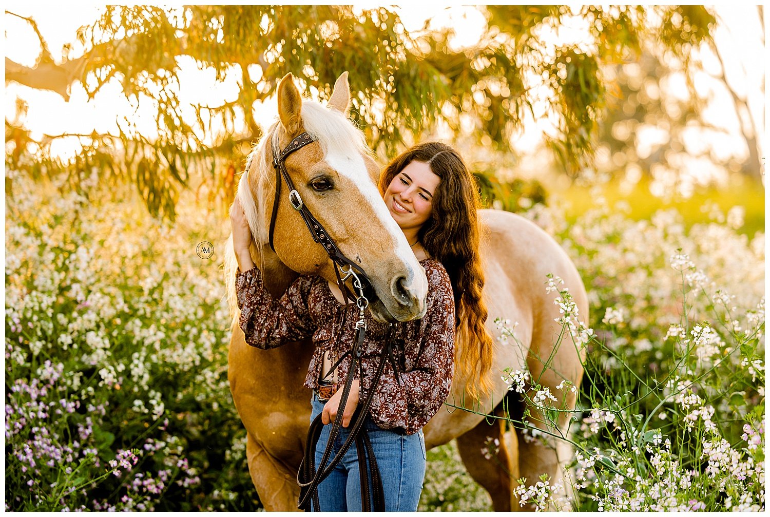 girl and horse