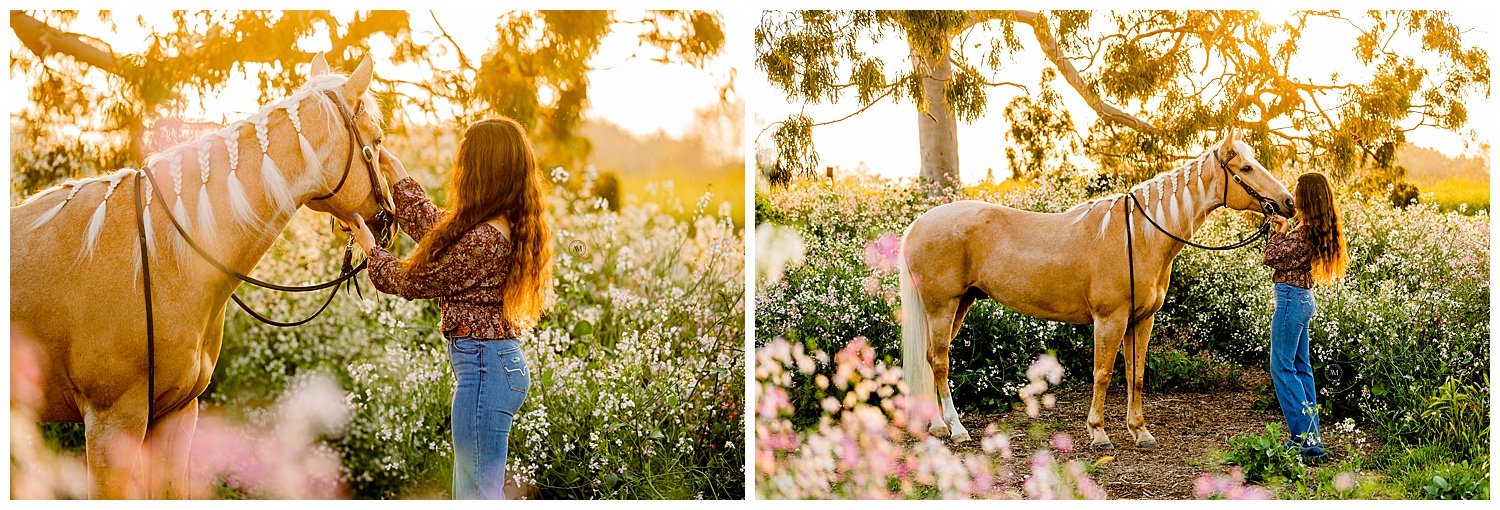 girl and horse