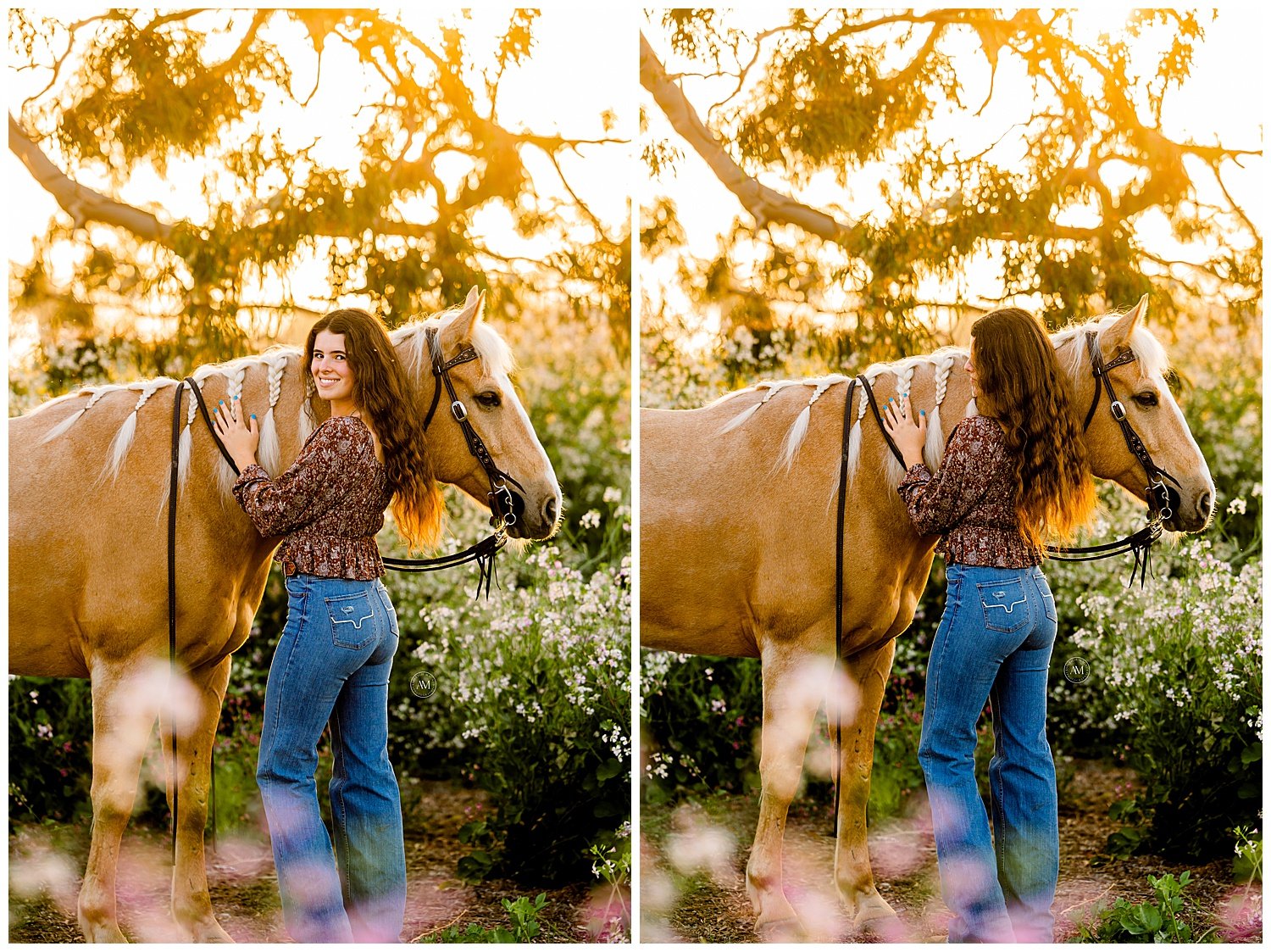 girl and horse