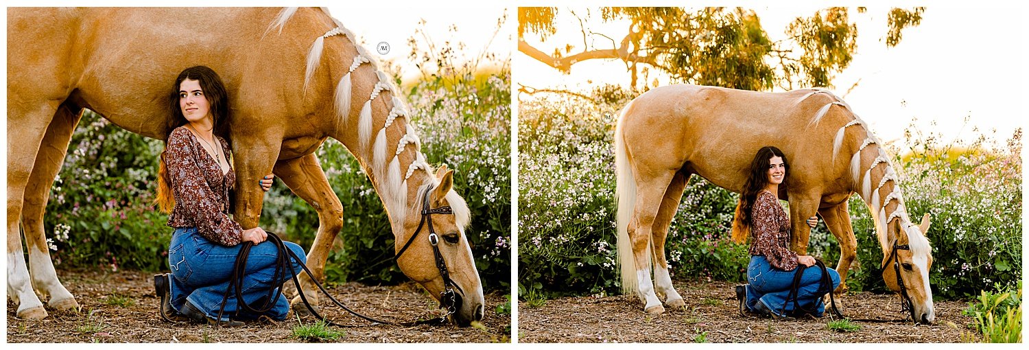 girl and horse