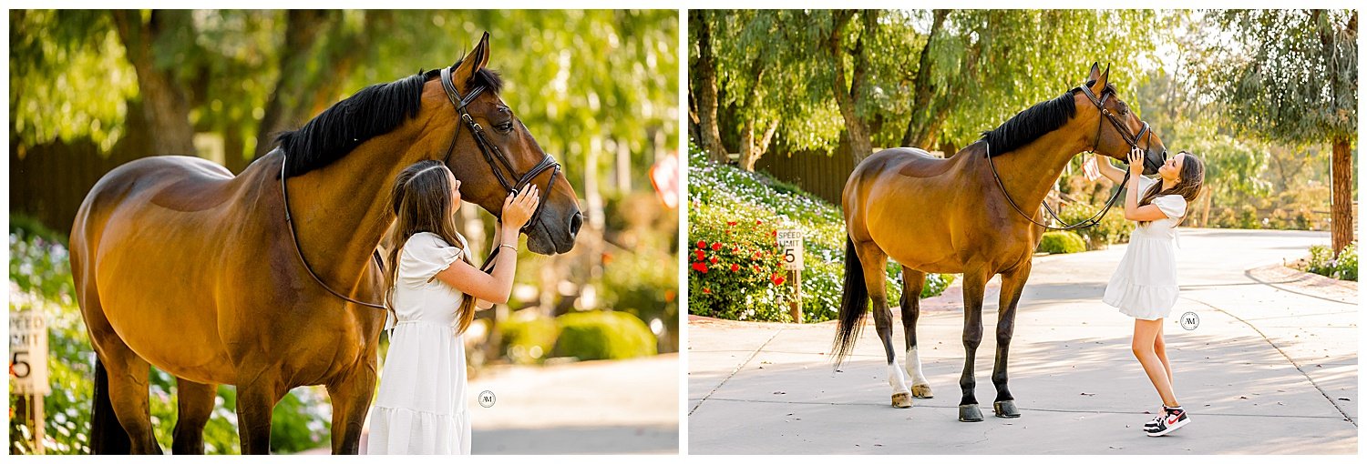 girl and horses