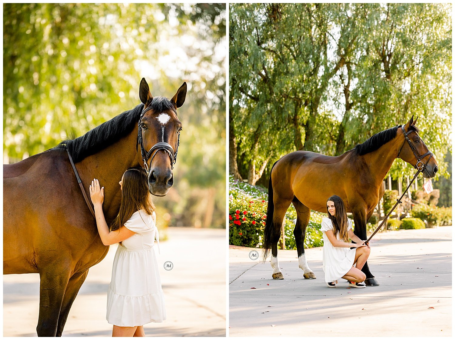 girl and horses