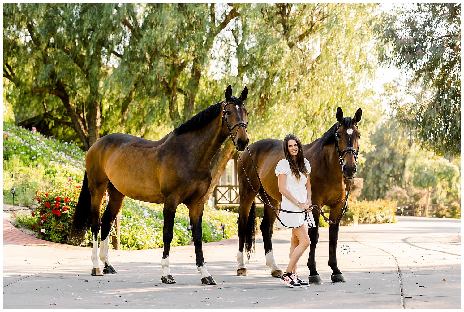 girl and horses