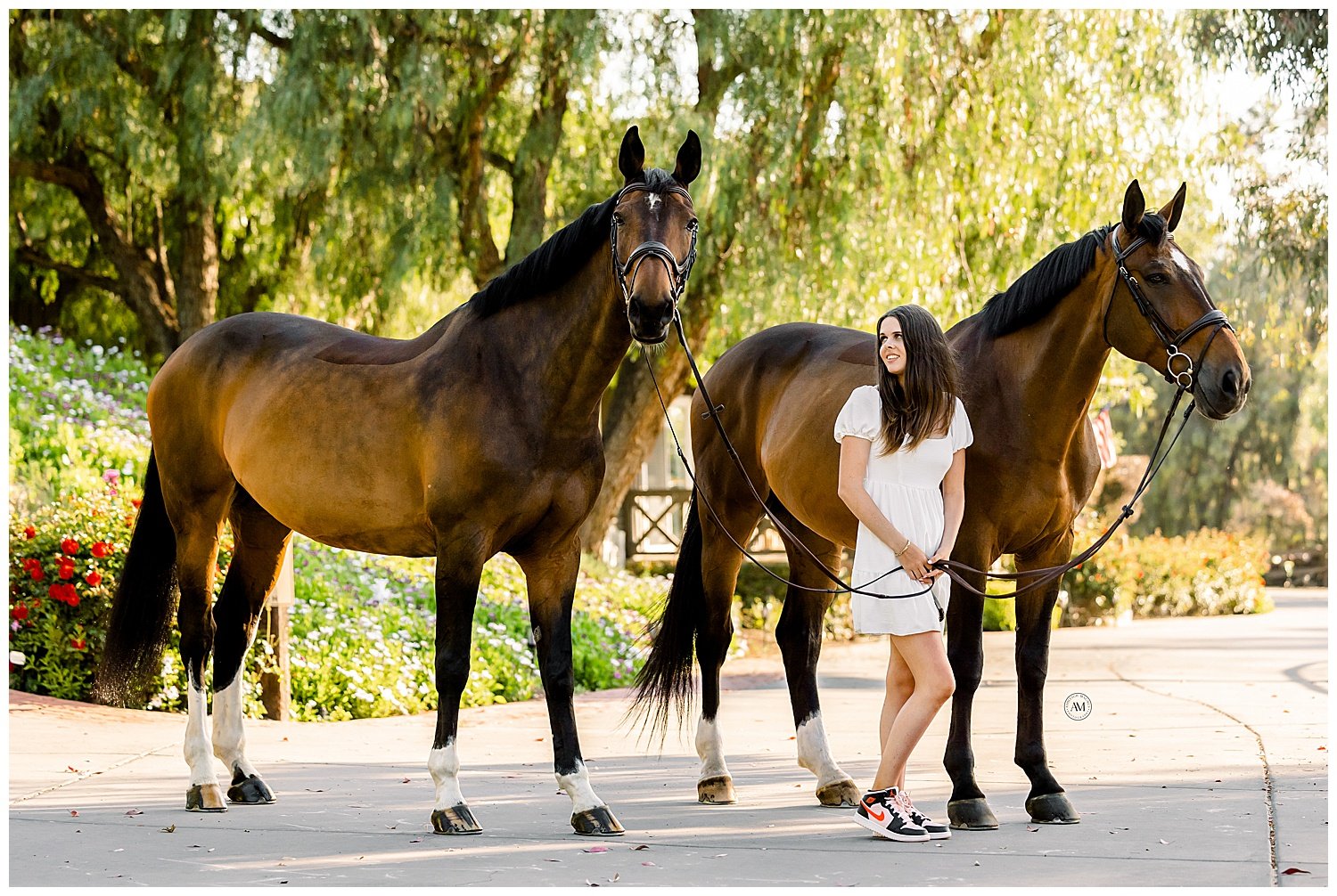 girl and horses