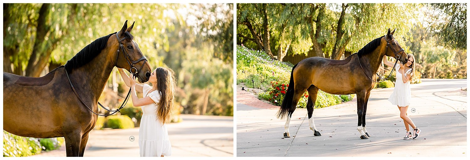 girl and horses