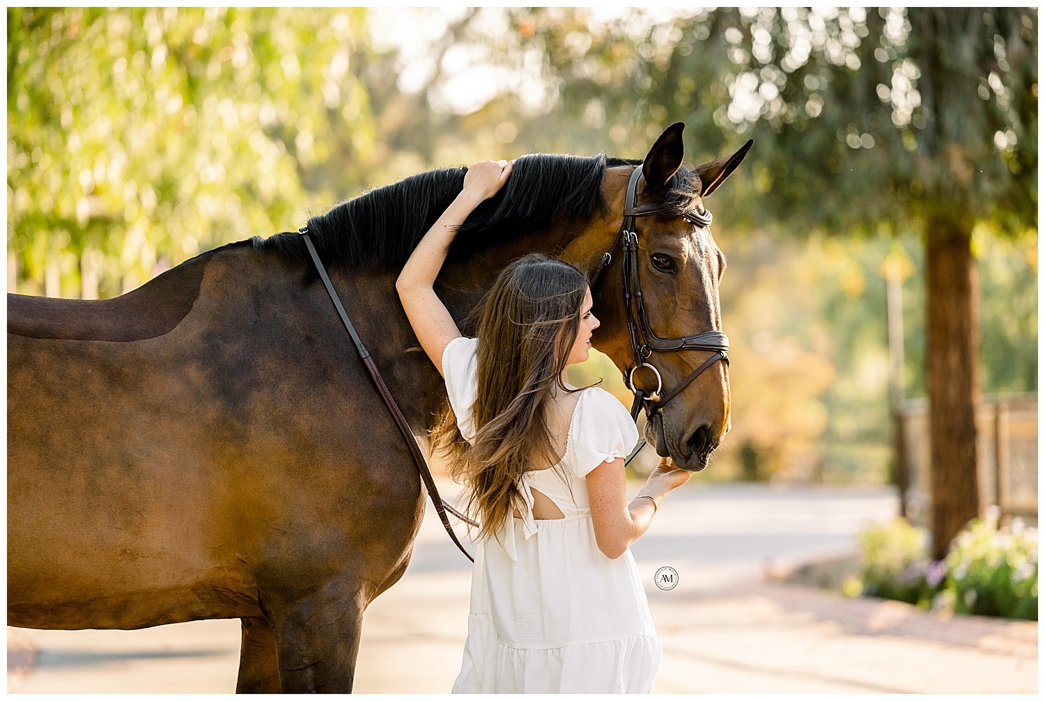 girl and horses 