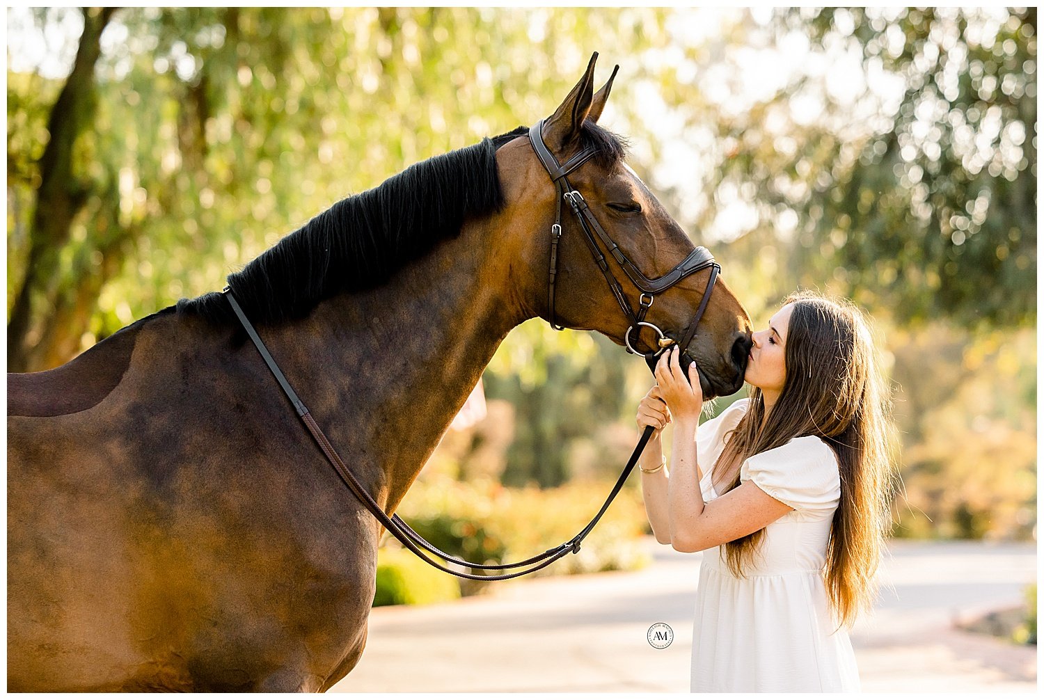 girl and horses