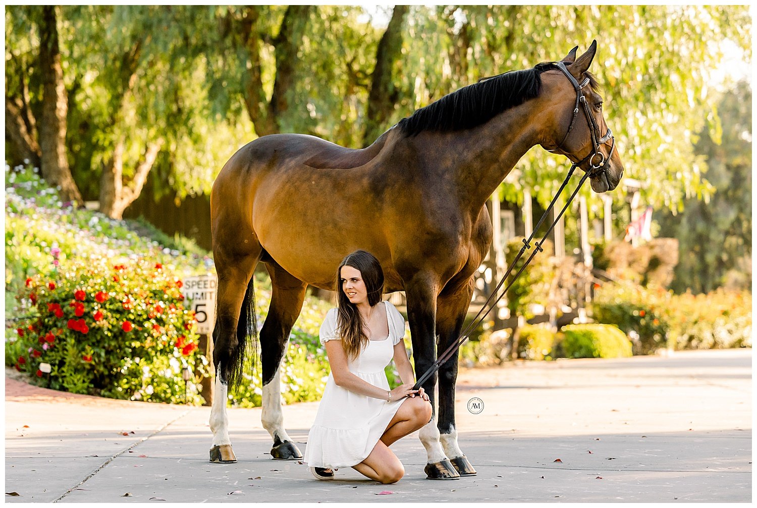 girl and horses