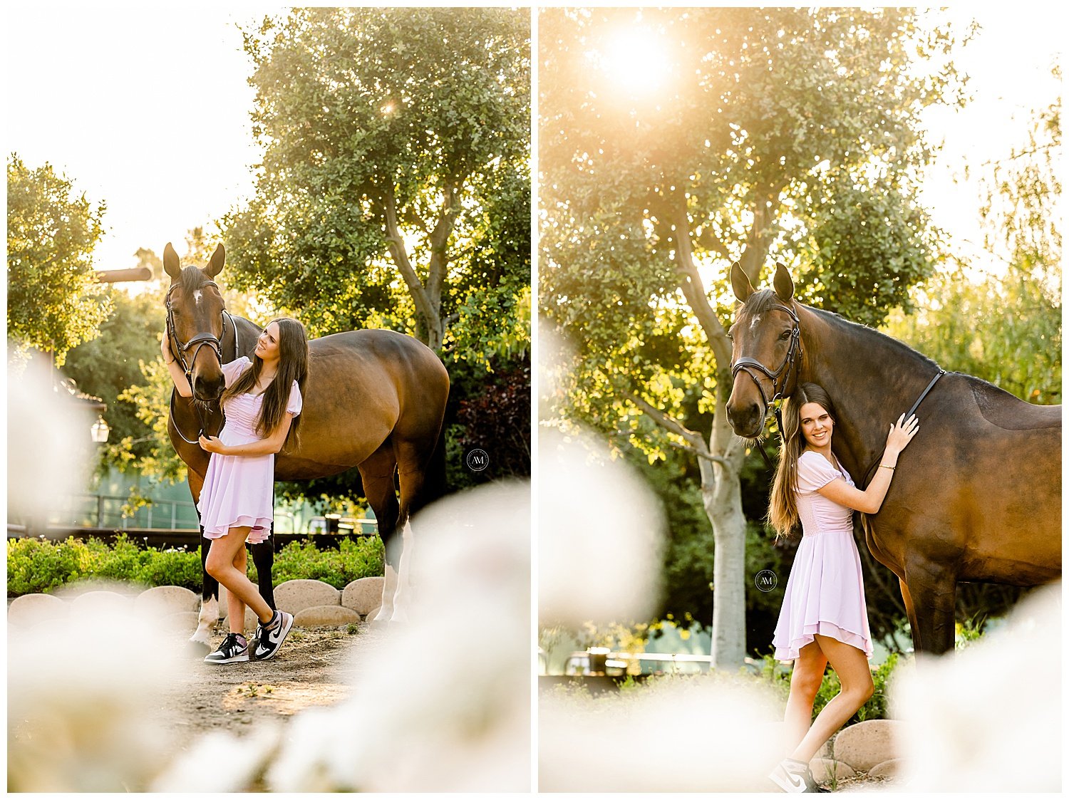 girl and horses