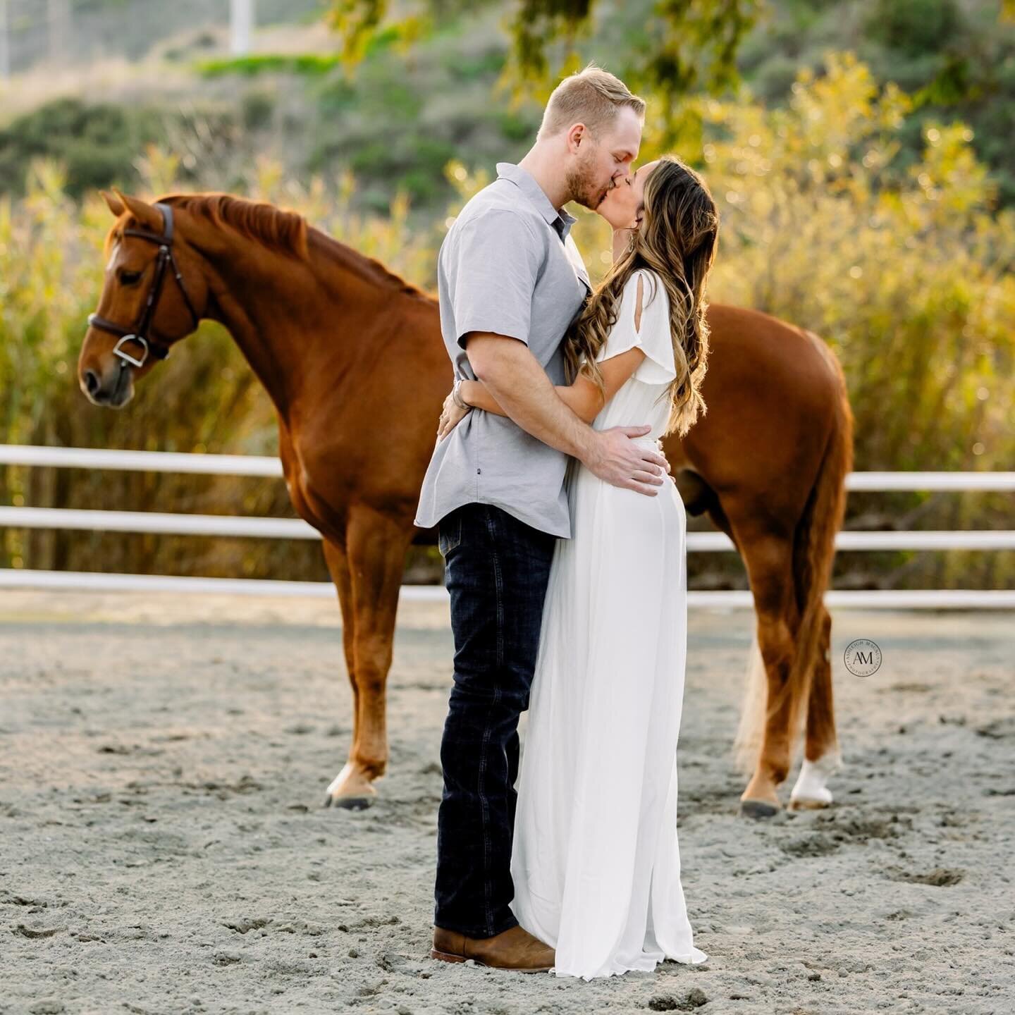 Engagement Era, but Make it Equestrian 🖤
