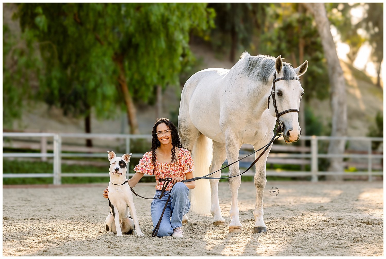 girl and horse