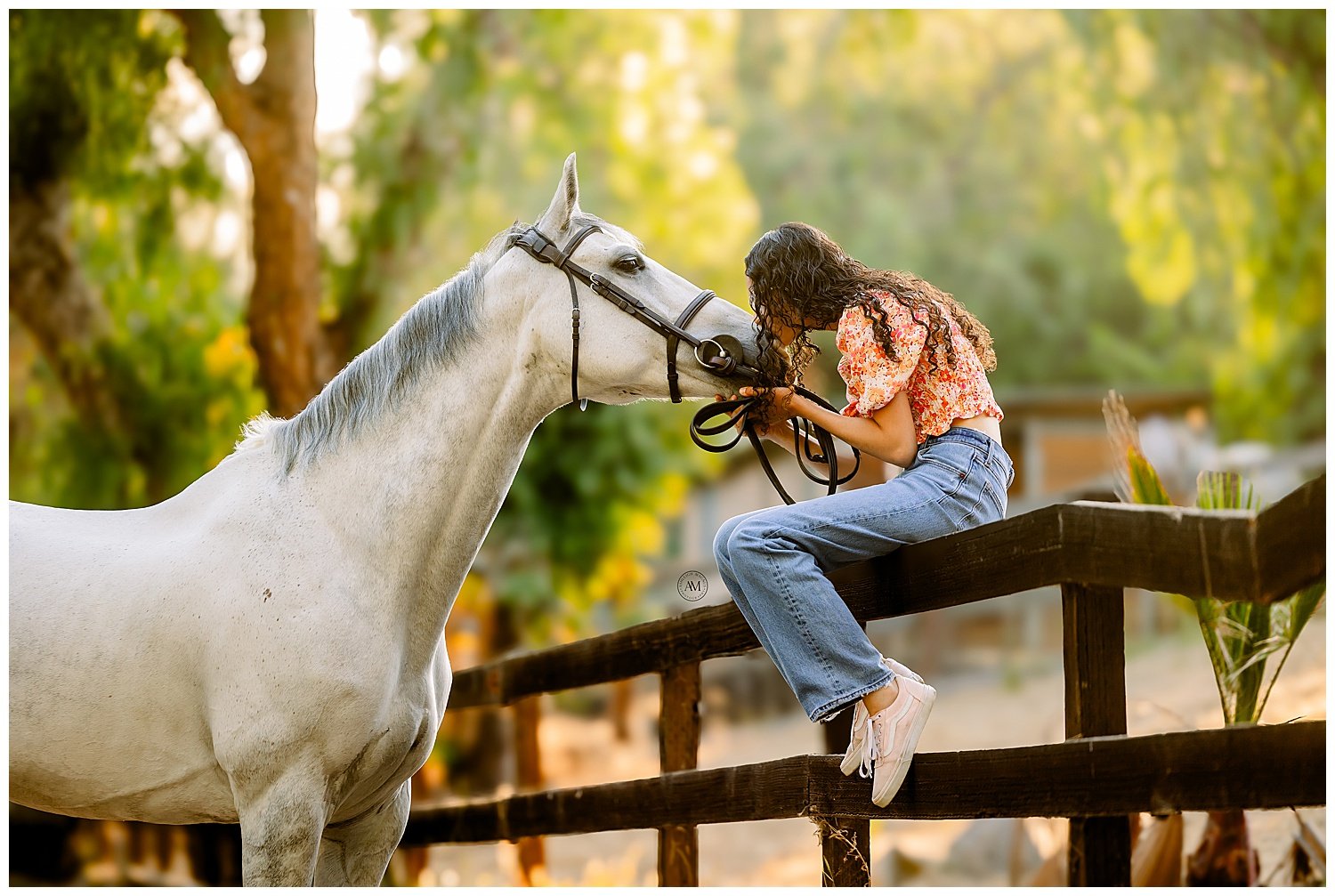 girl and horse